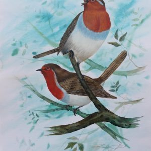 Robin Bird