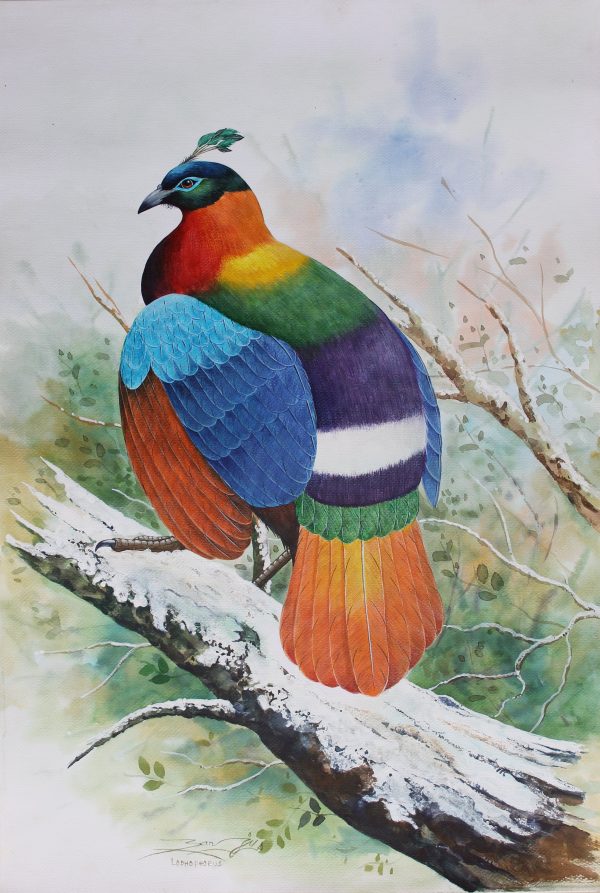 Danfe, national bird of Nepal (Sold Out)