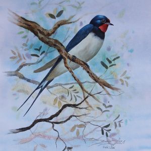 Swallow Bird